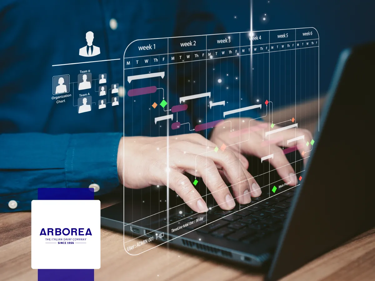 Pianificazione e Controllo ERP